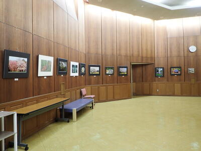 ロビー展写真