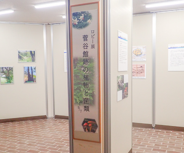 ロビー展写真