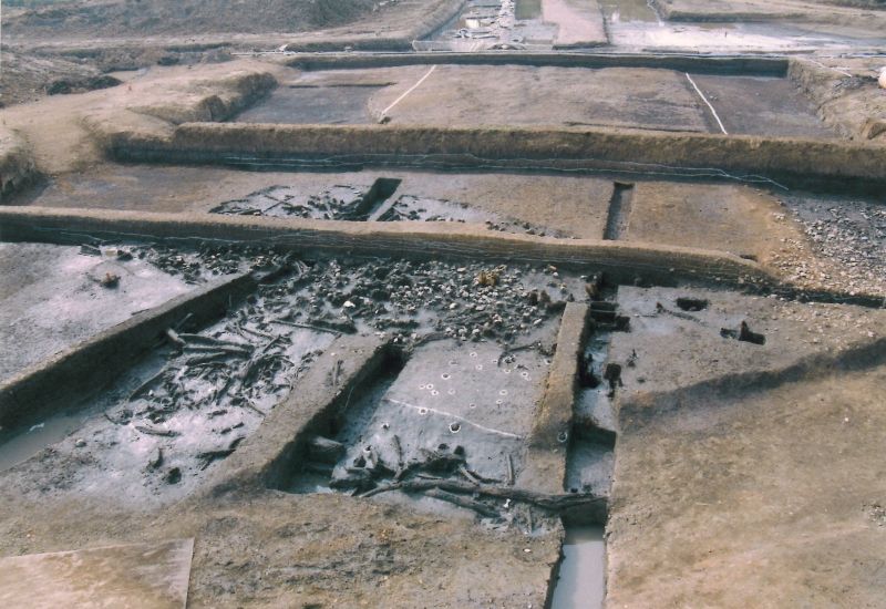 西吉見古代道路跡（吉見町教育委員会提供）