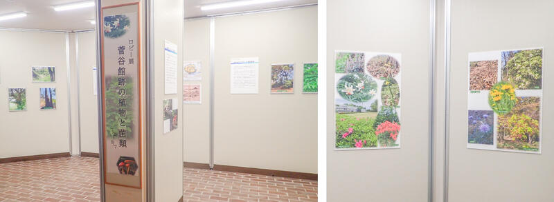 ロビー展写真